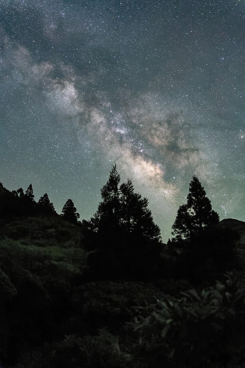 Starry Sky Universe